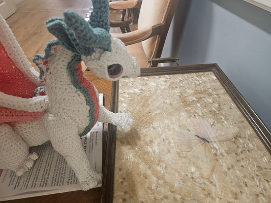 Watermelon Dragon